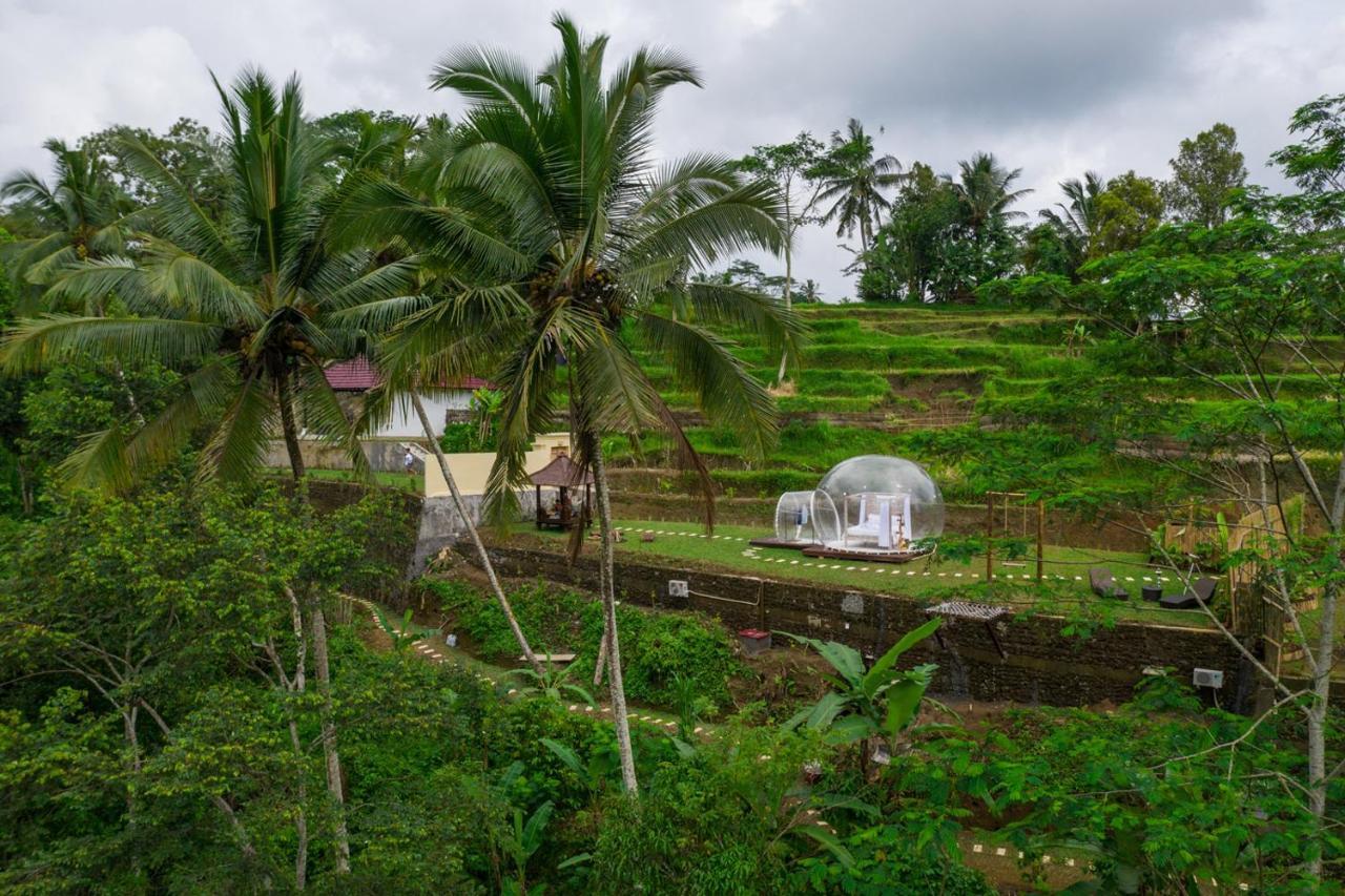 Bubble Hotel Ubud Payangan Exterior foto